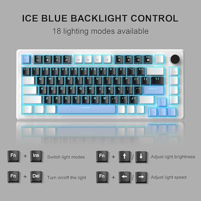 rayihni 75% MECHANICAL GAMING KEYBOARD - COMPACT BLUE BACKLIT WITH BLACK SWITCHES, EVA FOAM, KNOB CONTROL, STAR75 PORTABLE NKRO FOR PC - BLACK & BLUE - Image 2