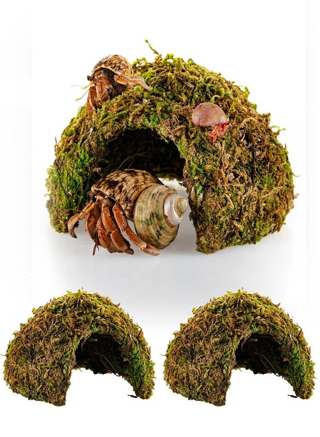 ORBIDYN Hermit Crab Accessories 2PCS - Climbing Toys & Habitat Domes, Natural-Look Shelter Cave, 4×3.5×2.2in Hermit Crab Tank Accessories for Crabs Under 1.6in - Image 1