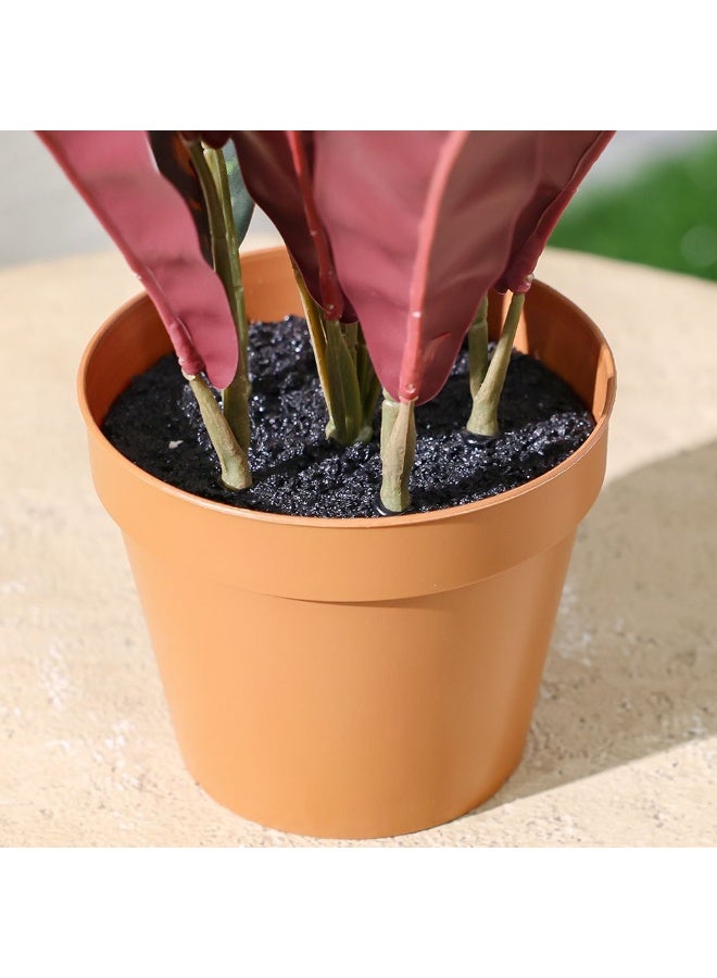 DANUBE HOME Calathea Artificial Plant 75 Cm, Realistic Indoor With Vibrant Leaves, Decorative Faux Potted Plant For Home & Office Interiors, Easy-Care Accent - Image 2