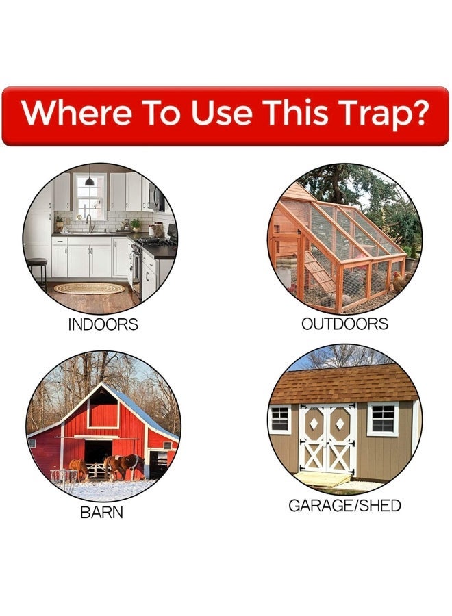 NIBEMINENT Reusable Plastic Smart Mouse Trap White/Black - Image 4