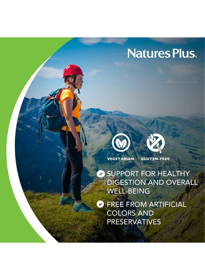 NaturesPlus إنزيم البابايا من ناتشرز بلس - 6 ملغ باباين - مكمل غذائي طبيعي للمساعدة في الهضم، يحتوي على الأميلاز والبروتياز - 180 قرص قابل للمضغ (180 حصة) - Image 4