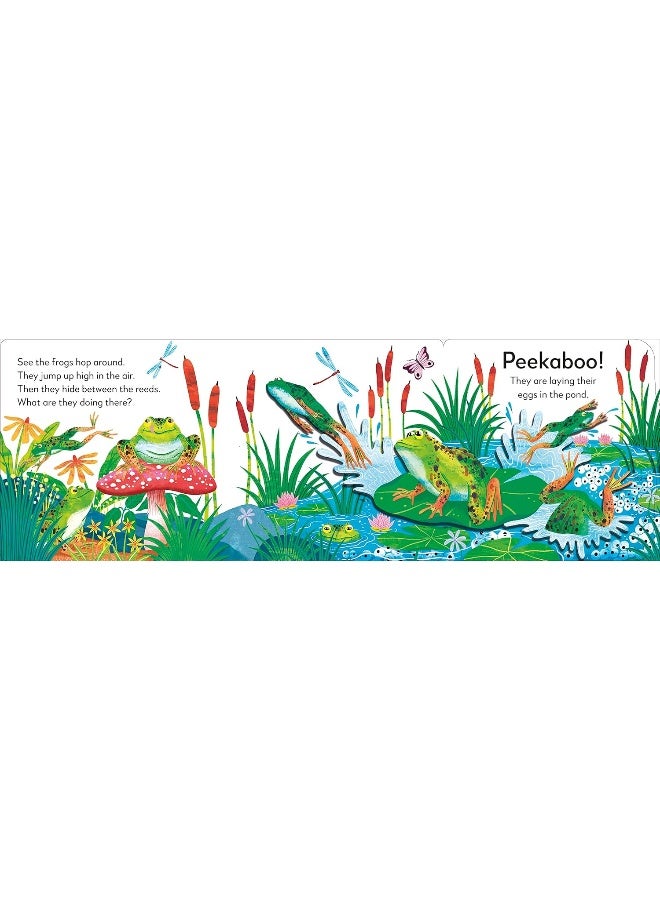 DK Pop-Up Peekaboo! Frog: Pop-Up Surprise Under Every Flap!  - Image 3