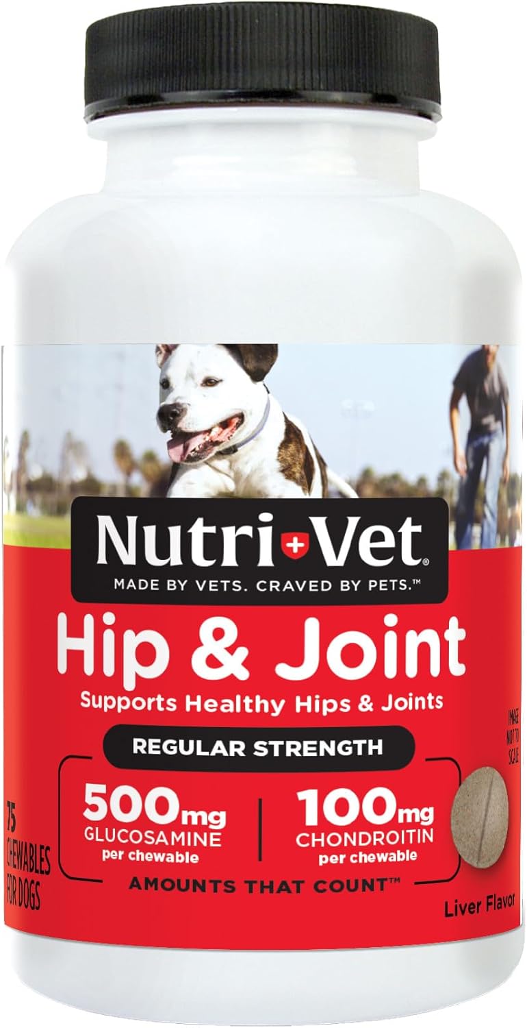 nutri vet Nutri-Vet Hip & Joint Regular Strength Chewable Tablets for Dogs - 75 Count - Image 1