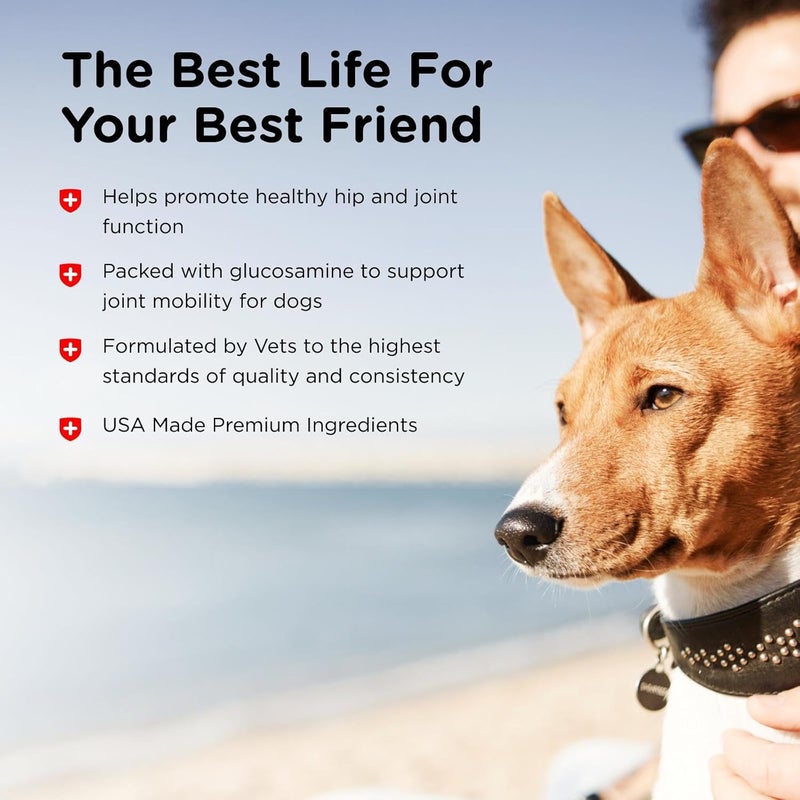 nutri vet Nutri-Vet Hip & Joint Regular Strength Chewable Tablets for Dogs - 75 Count - Image 4