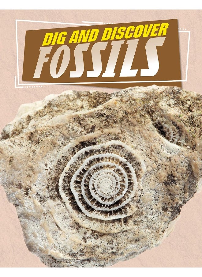 Dig and Discover Fossils 