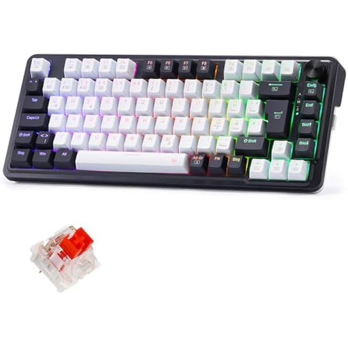 rayihni K673 PRO WIRELESS QWERTZ DE GAMING KEYBOARD, GASKET STRUCTURE 75% COMPACT DESIGN, 82 KEYS HOT-SWAP RED SWITCHES MECHANICAL KEYBOARD WITH BUTTON RGB LIGHTING, 2.4G/BT/TYPE-C CONNECTIONS - Image 1
