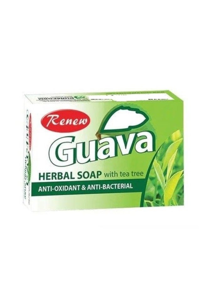 Renew Guava Herbal Soap 135 Gm  - Image 1