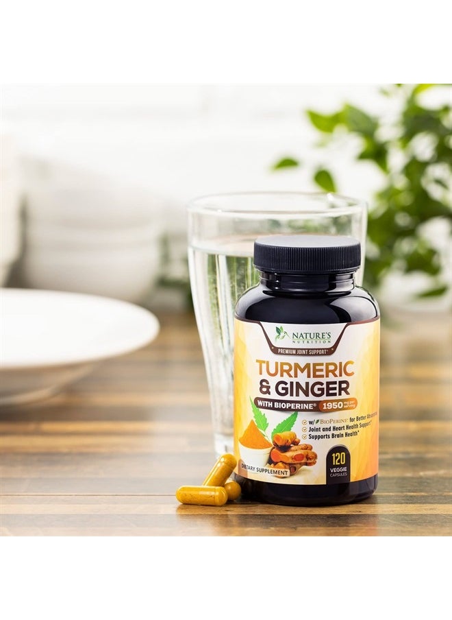 Turmeric Curcumin with BioPerine & Ginger 95% Standardized Curcuminoids 1950mg - Black Pepper for Max Absorption, Natural Joint Support, Nature's Tumeric Extract Supplement Non-GMO - 120 Capsules