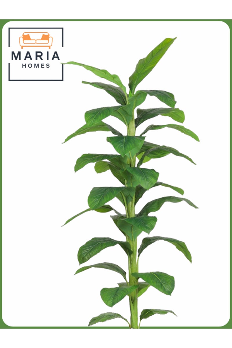 ماريا شجرة موز اصطناعية 200 سم - نبات زينة داخلي مع وعاء رمادي فاتح - Image 2