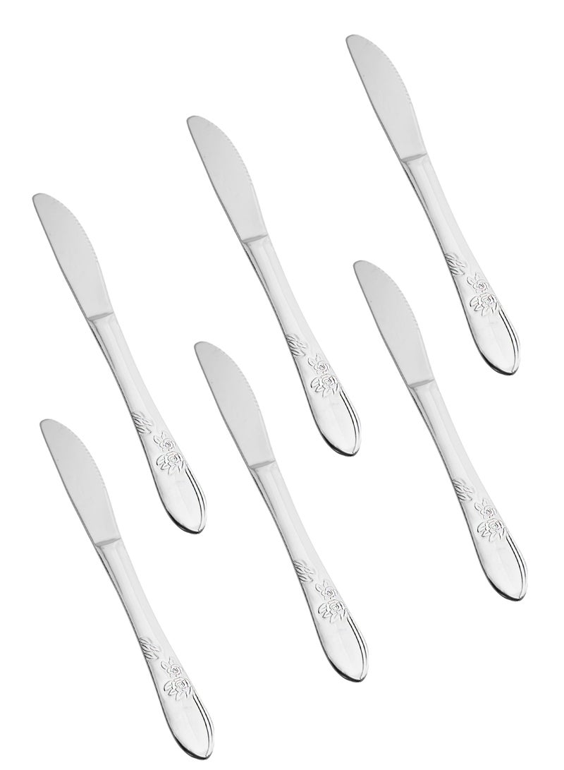 Hic Japanese stainless steel dinner knife set 6 pieces  - Image 1