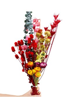 Dried flower bouquet living room decoration ornaments real flowers natural gift