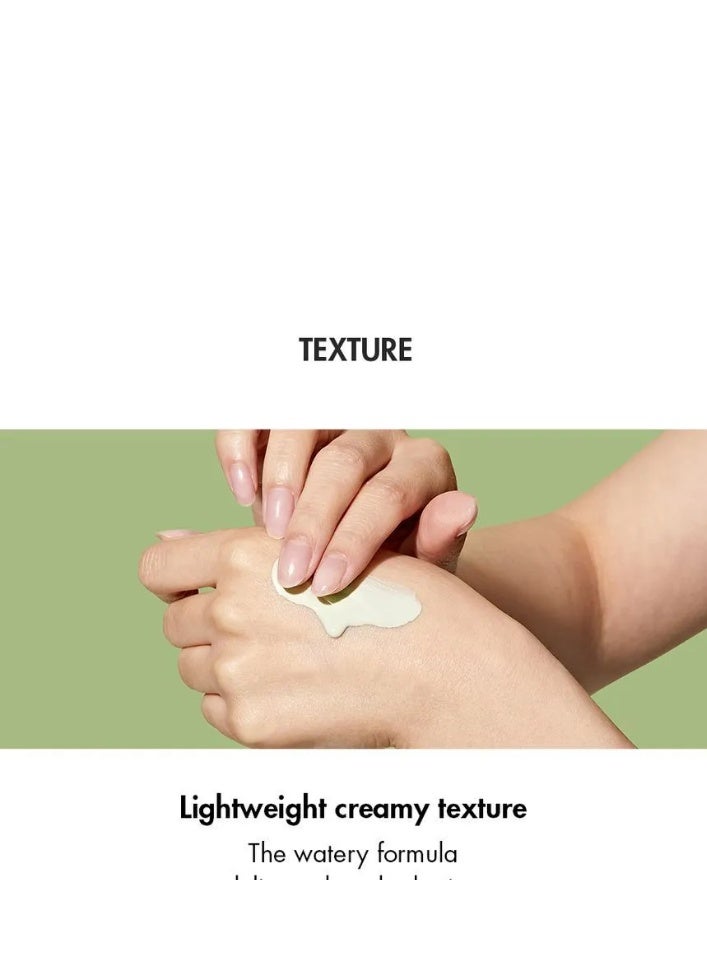 Dr. Ceuracle د. سيراكيل - شمس الشاي الأخضر المنقي - Image 5
