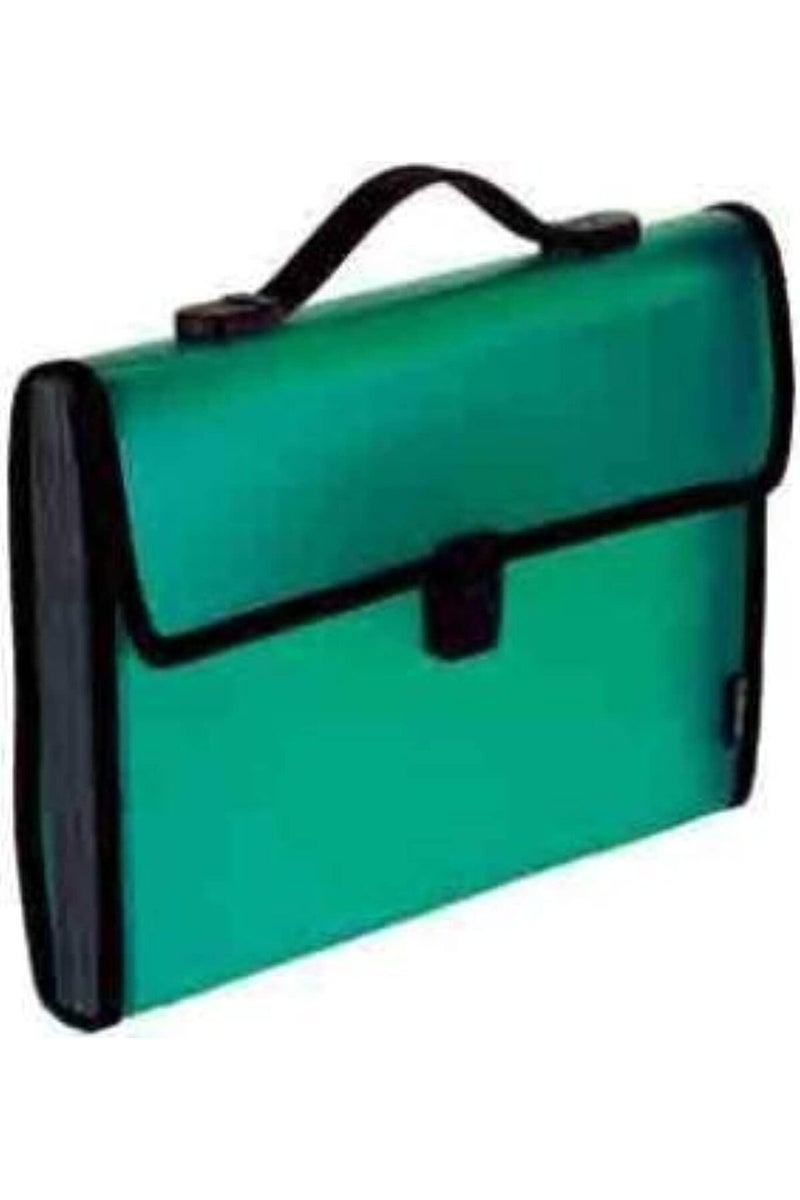 Foldermate PP-16 13 Pocket A4 Expanding File, Multicolor