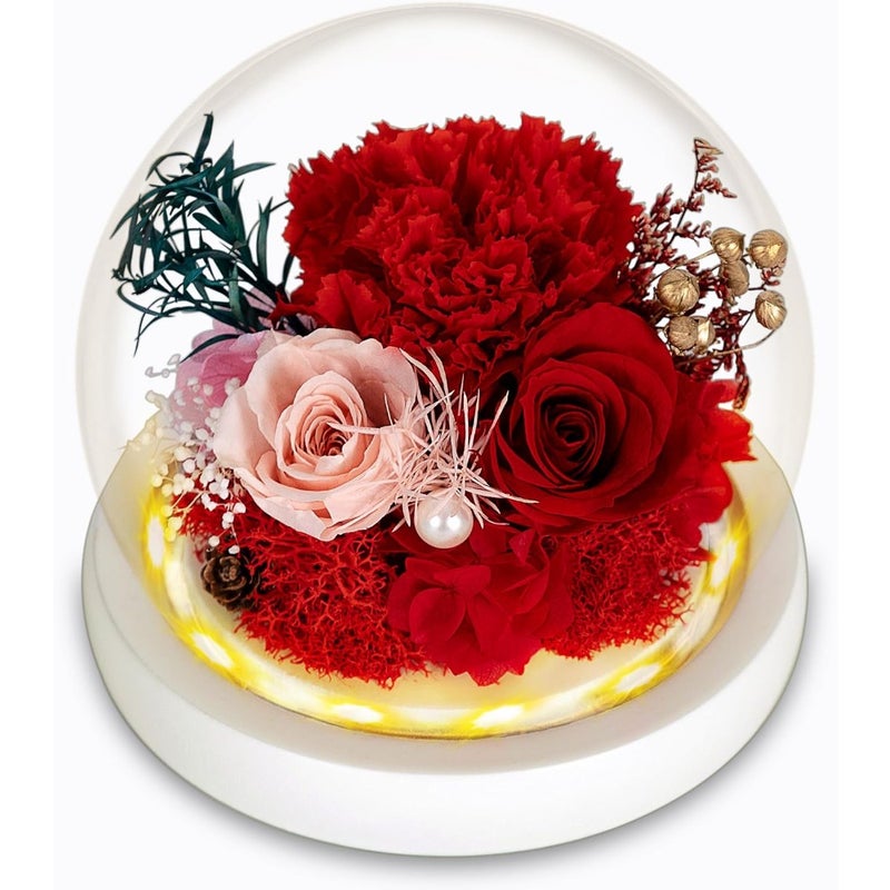 Forever Flowers, Preserved Roses, Elegant, Unique Floral Gift with LED for Valentine's Day, Birthday, Anniversary, Ideal Present to send Love for Women Red Carnation, Pink Rose, Red Rose - Image 1