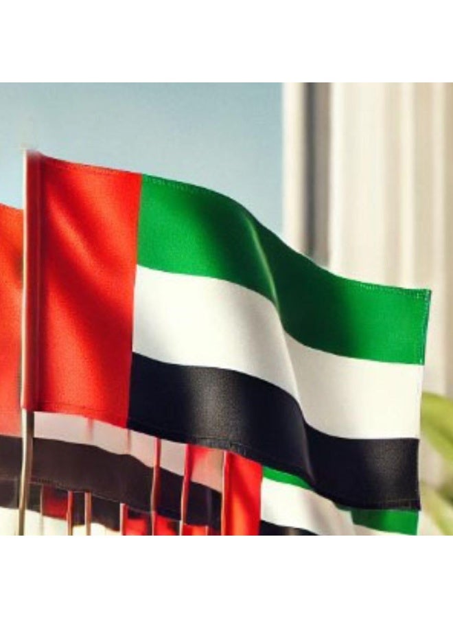 Home Care علم الإمارات الوطني - كبير 90x60 سم للاحتفالات باليوم الوطني، علم الإمارات، علم الفخر الإماراتي للفعاليات، المواكب، والعروض الخارجية (علم واحد) - Image 3