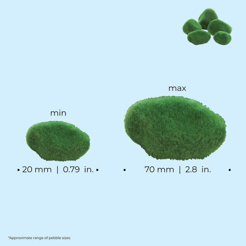 biOrb pebble set moss-covered - Image 3
