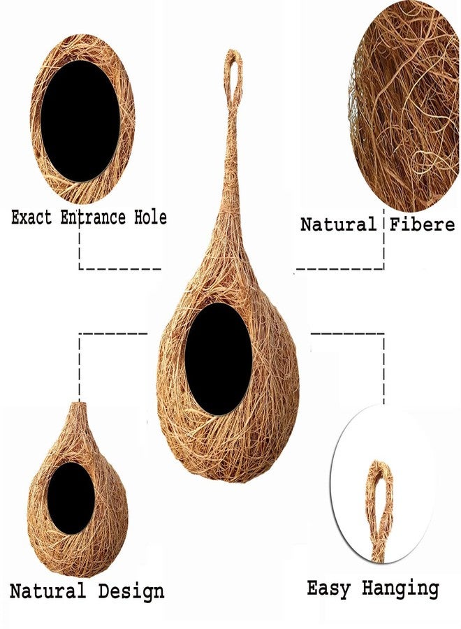 LIVEONCE Coir NEST for Birds Color -Natural Size H-25 CM,W -15 CM,Pack of 6 - Image 3