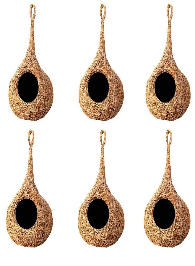LIVEONCE Coir NEST for Birds Color -Natural Size H-25 CM,W -15 CM,Pack of 6 - Image 1