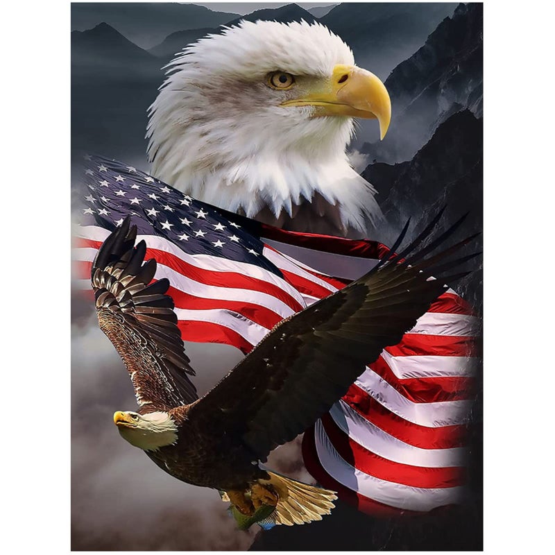 KTHOFCY 5D DIY Diamond Painting Kits for Adults Kids Eagle and Flag Full Drill Embroidery Cross Stitch Crystal Rhinestone Paintings Pictures Arts Wall Decor Painting Dots Kits 157X118 in - Image 3