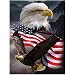 KTHOFCY 5D DIY Diamond Painting Kits for Adults Kids Eagle and Flag Full Drill Embroidery Cross Stitch Crystal Rhinestone Paintings Pictures Arts Wall Decor Painting Dots Kits 157X118 in - Image 2