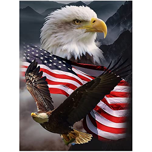 KTHOFCY 5D DIY Diamond Painting Kits for Adults Kids Eagle and Flag Full Drill Embroidery Cross Stitch Crystal Rhinestone Paintings Pictures Arts Wall Decor Painting Dots Kits 157X118 in - Image 1
