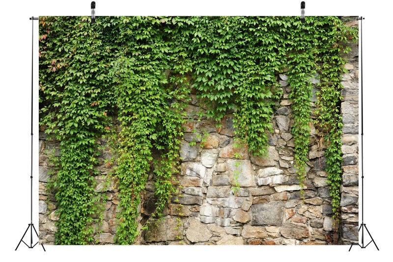 BELECO 7x5ft Fabric Green Leaves Wall Backdrop Old Stone Wall with Green Leaves Vine Spring Garden Nature Backdrop Greenery Banner Background Home Decor Wedding Birthday Photoshoot Studio Props - Image 3