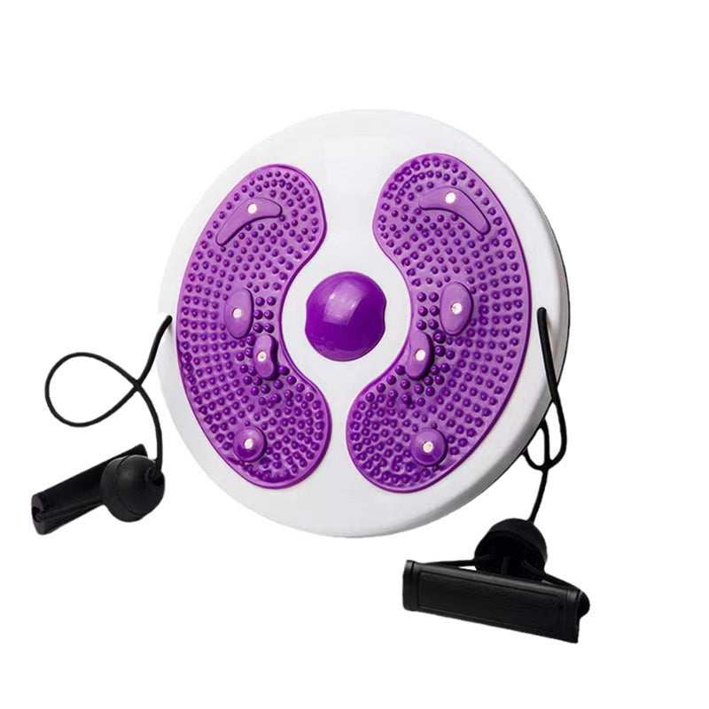 Twister Board for Exercise with 8 Magnets Handles 360 Degree Rotating Stomach Exercise Equipment Waist Twisting Disc - Image 1