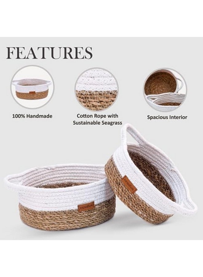 DENOVA Seagrass/Cotton Round basket With handle | Storage basket | Home & Kitchen |18X18X8 CM / 22X22X10 CM |Natural + White Color. - Image 4