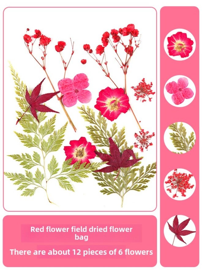 Dried Flower Embossed Photo Frame Acrylic Transparent Plastic Film Handmade DIY Material Plant Leaf Specimen Glass Frame-Colour:Other Sizes - Lotus Color Red Flower Field 12 Pieces  - Image 1