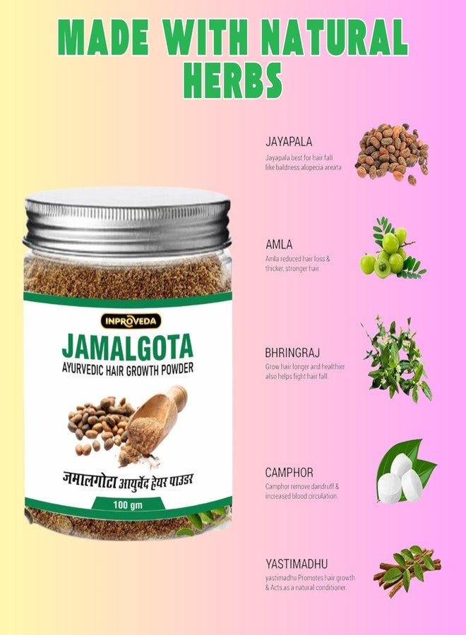 Pteteya Inproveda Jamalgota Haircare Lepa Powder 100gm & Jamalgota Haircare Oil 50ml - Combo Pack - Image 2