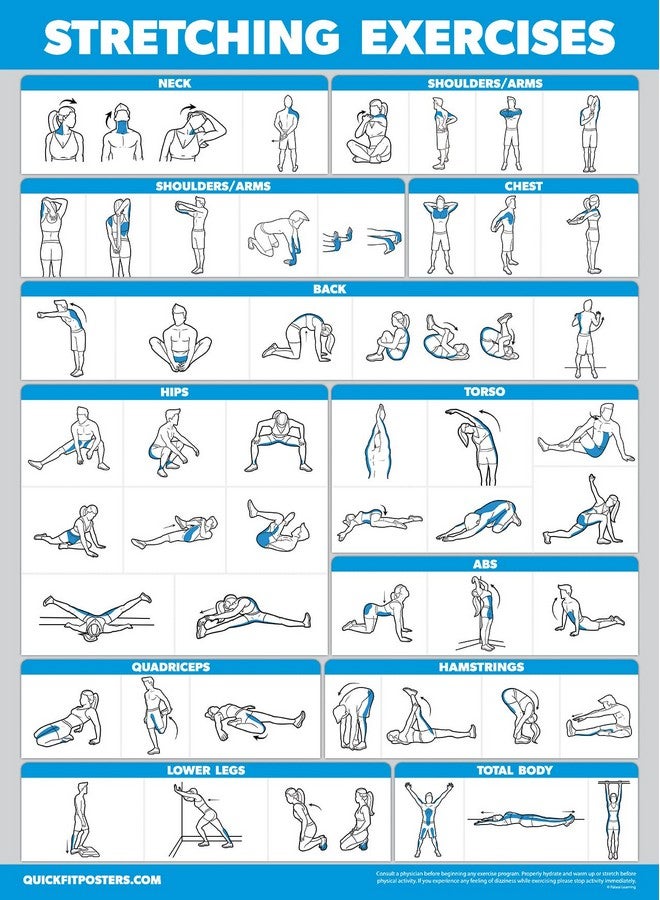 Palace Learning 4 حزمة ملصقات تمارين أحزمة المقاومة المجلد 1 2 و 3 + مخطط تمارين الإطالة (مغلف 18" × 24") - Image 3