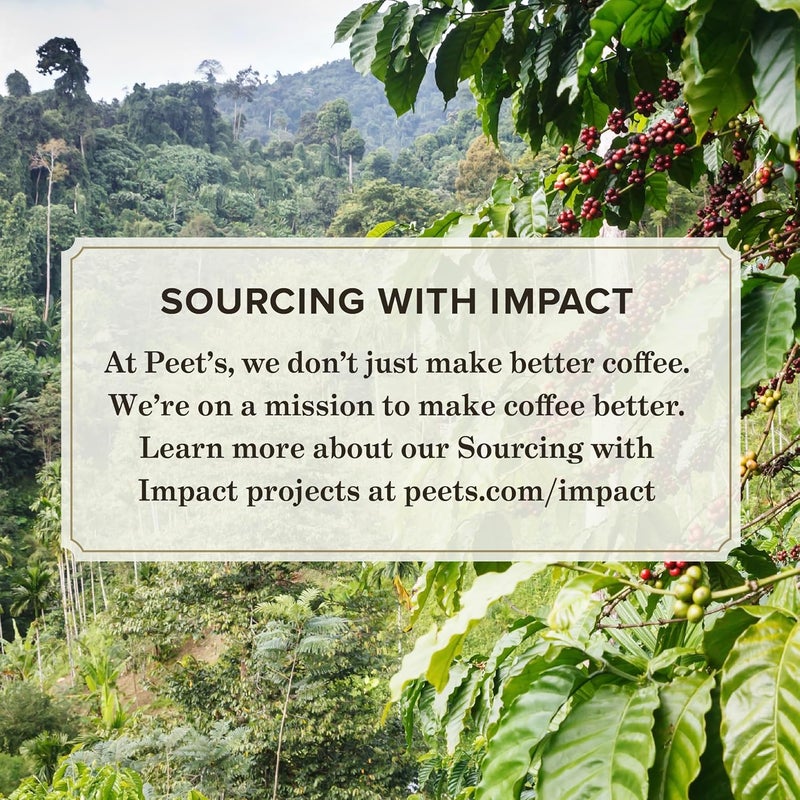 Peet's Coffee قهوة بيتس مزيج ديكاسون الكبير تحميص داكن قهوة مطحونة، 18 أونصة - Image 4