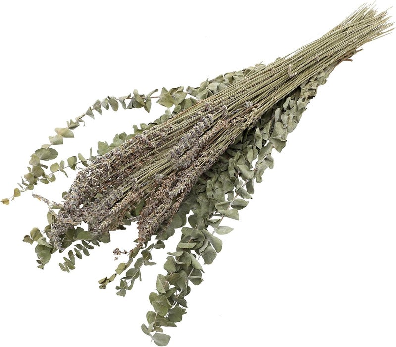 Dried Lavender Bunch and Eucalyptus Leaf Stems Bouquet, Natural Preserved Flowers for Home Décor, Aromatherapy Fragrance, Wedding and Vase Decoration, 12 Eucalyptus Leaves with 40g - Image 1