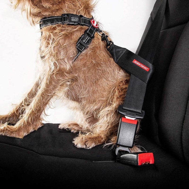 EzyDog Universal Dog Seat Belt Restraint for Cars â€“ Durable Easy to Use Seatbelt Attachment for Dog Harness with Superior Strength and Nylon Webbing - Image 3