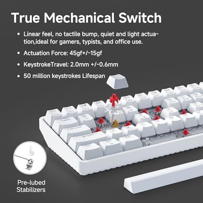 TMKB Technology Mechanical KeyBoard TMKB 60% MECHANICAL GAMING KEYBOARD, RED LINEAR SWITCH, LED BACKLIGHT, ANTI-GHOSTING, DETACHABLE USB-C, DOUBLE-SHOT KEYCAPS, 61 KEYS, WIRED, WHITE - Image 2