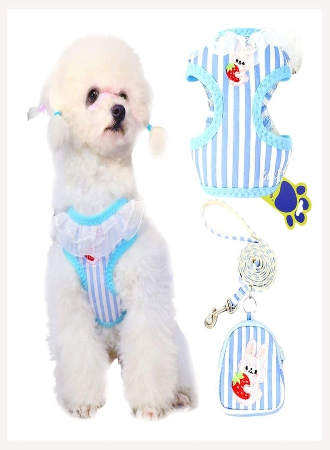 A+a Pets' Combo of 3-in-1 Backpack, Harness & Leash Set for Dogs, Puppies & Cats - Soft Breathable Cotton Cute Checks Design (Sky Blue, M, Stripes) - Image 1