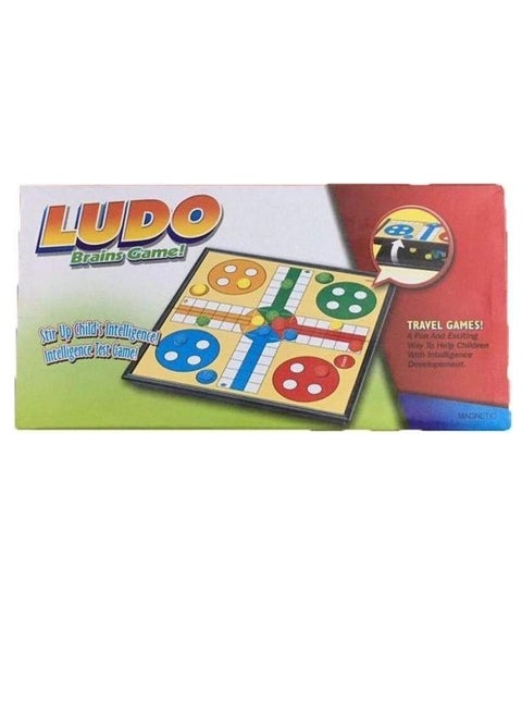Ludo Brain Game set