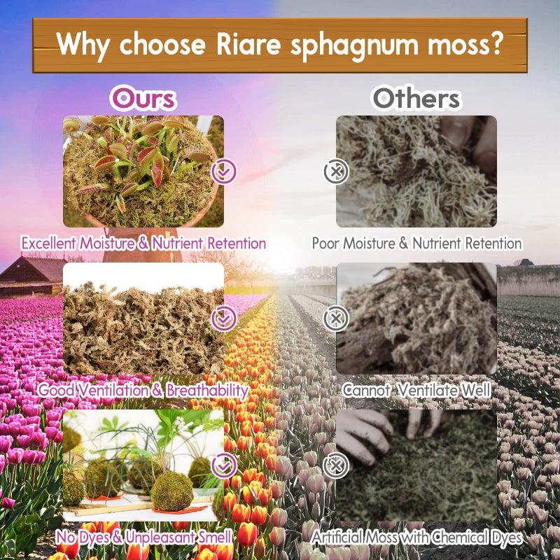 Riare 3.3 LB Premium Sphagnum Moss for Plants- 60QT Natural Long Fibered Sphagnum Peat Moss Plants Moss Dried, Carnivorous Plants Moss Orchid Potting Mix for Orchids, Carnivorous Plants, Succulent - Image 5