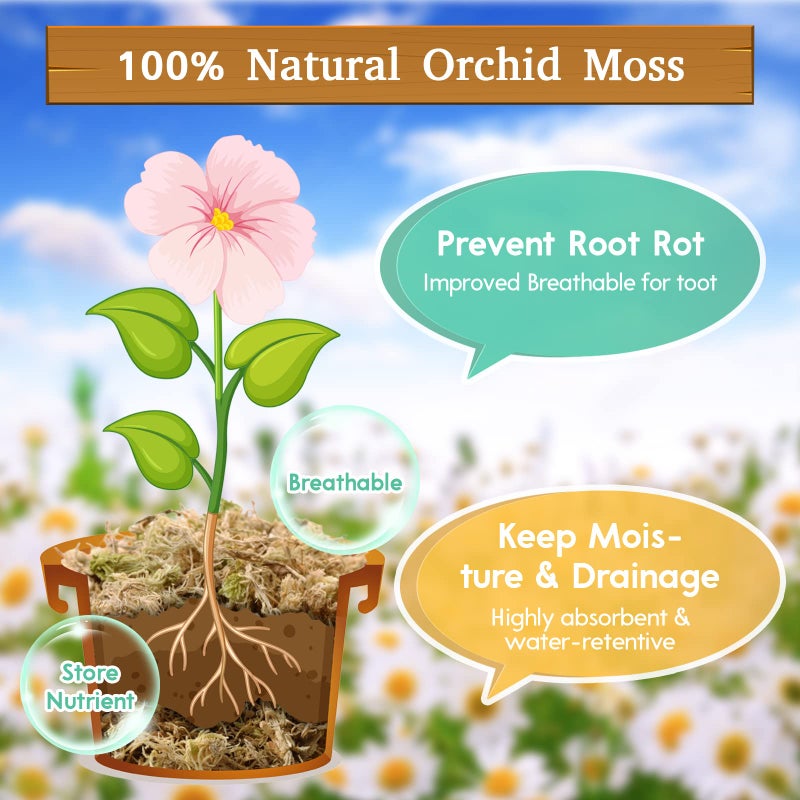 Riare 3.3 LB Premium Sphagnum Moss for Plants- 60QT Natural Long Fibered Sphagnum Peat Moss Plants Moss Dried, Carnivorous Plants Moss Orchid Potting Mix for Orchids, Carnivorous Plants, Succulent - Image 3