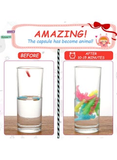 8 Pieces Water Growing Capsules Growing In Water Animals Toys Dinosaur Unicorn Sea Creature Capsules Party Cognition Sponge Pills Toys Bath Expanding Foam Animal Toy(Multi Animal Style) - pzsku/Z6F48C7B74B3AEAFD1E90Z/45/_/1734347113/ef1fb781-eea5-47ce-b430-f094b4a6ad9f