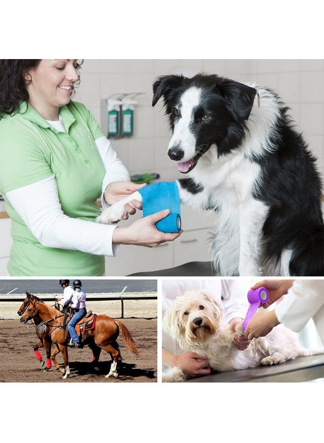 لوتفانسي ضمادة بيطرية لاصقة ذاتية اللصق، 4 بوصات × 5 ياردات، عبوة من 10 ضمادات متماسكة غير منسوجة، شريط إسعافات أولية للخيول والكلاب والقطط والكوع والكاحل، ألوان متنوعة - Image 5