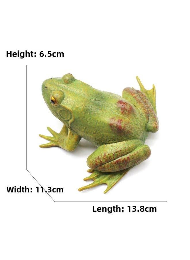 Animal Model Special For Teaching And Education Animal Model Kangaroo Elephant Lion Tiger Deer Ostrich Wolf-Color:1107 Extra Large Cow Frog (246g)  - Image 1