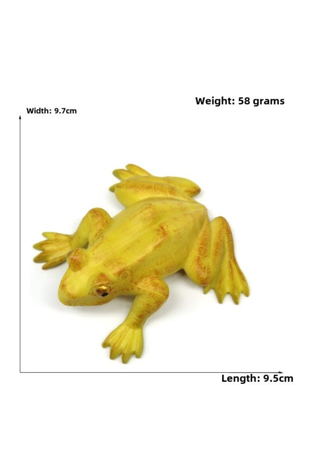 Animal Model Special For Teaching And Education Animal Model Kangaroo Elephant Lion Tiger Deer Ostrich Wolf-Color:XD-3 Frog  - Image 1