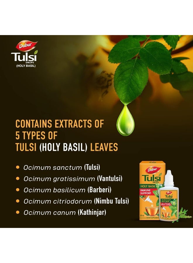 Dabur Tulsi Drops 30 Ml - Image 3