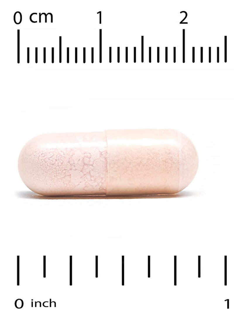 Lake Avenue Nutrition - Probiotics 10 Strain Blend 25 Billion CFU 60 Veggie Capsules - Image 1