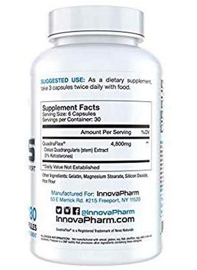 إنوفا فارم - InnovaPharm Superior Cissus - QuadraFlex 4800mg - 180 كبسولة - Image 1