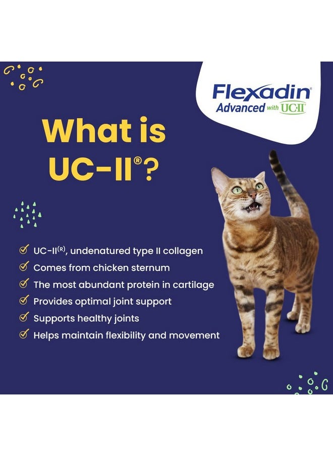 Vetoquinol - Flexadin Advanced Dog Hip And Joint Supplement With UcIi Collagen, One Chew A Day Hip And Joint Support Chew For Dogs And Cats, Clinically Proven VetApproved Formula, 60 Chews - Image 1
