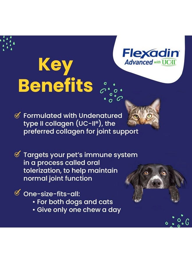 Vetoquinol - Flexadin Advanced Dog Hip And Joint Supplement With UcIi Collagen, One Chew A Day Hip And Joint Support Chew For Dogs And Cats, Clinically Proven VetApproved Formula, 60 Chews - Image 1