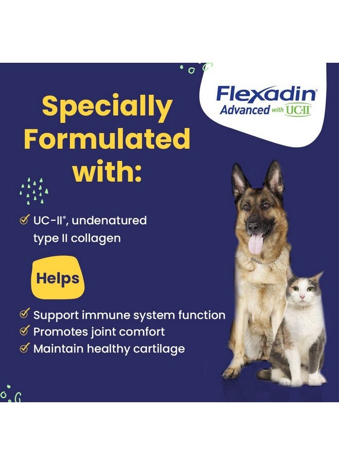 Vetoquinol - Flexadin Advanced Dog Hip And Joint Supplement With UcIi Collagen, One Chew A Day Hip And Joint Support Chew For Dogs And Cats, Clinically Proven VetApproved Formula, 60 Chews - Image 1