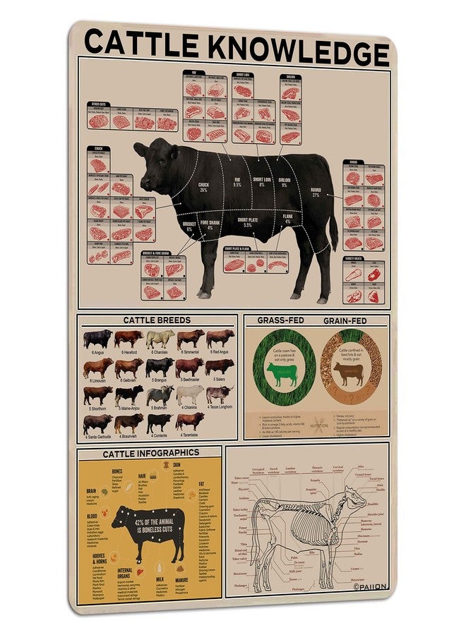 PAIION Cattle Knowledge Metal Tin Sign Breed Information Poster Animal Farm Anatomy Club School Educational Wall Decoration 16x12 Inch - Image 1
